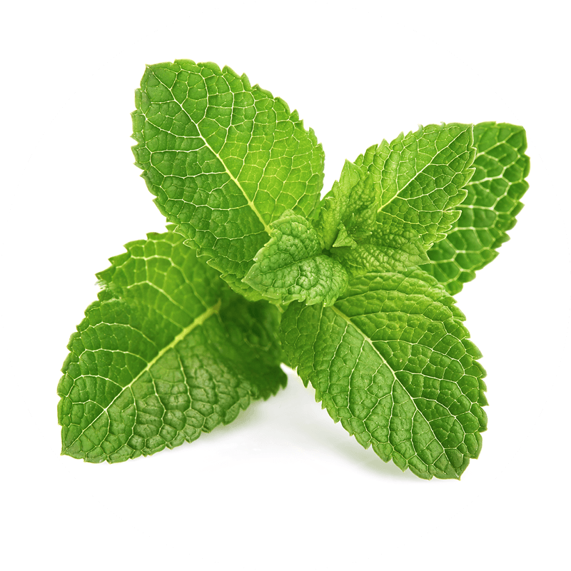 The benefits of menthol in shampoos and co.
